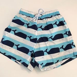 Snapper Rock New Zealand